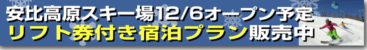 安比高原スキー場リフト券付きプラン