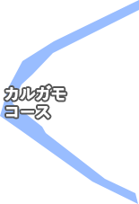 カルガモコース