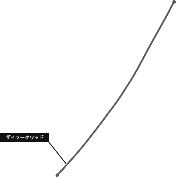 ザイラークワッド