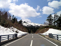 八幡平樹海ライン