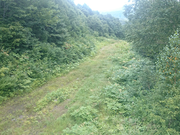 DSC_0215