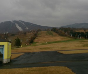 ハヤブサ雪