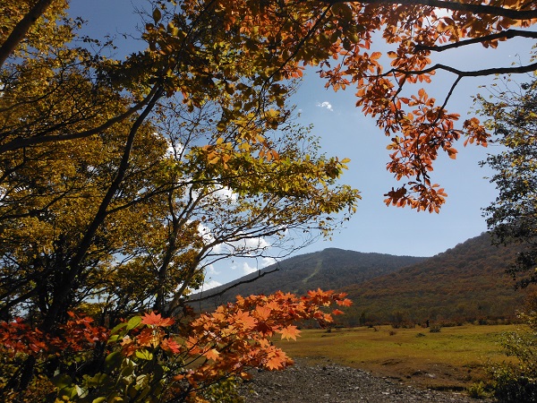 紅葉と前森山DSCF5658