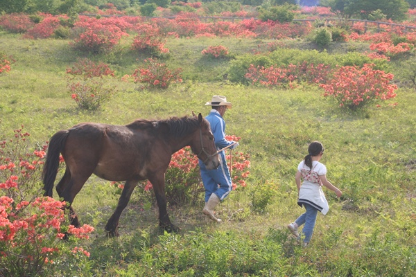 20160604nakamaki01