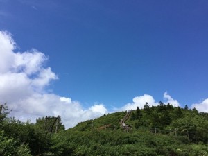 IMG_0338