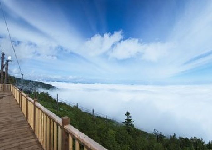 雲海とゴンドラ