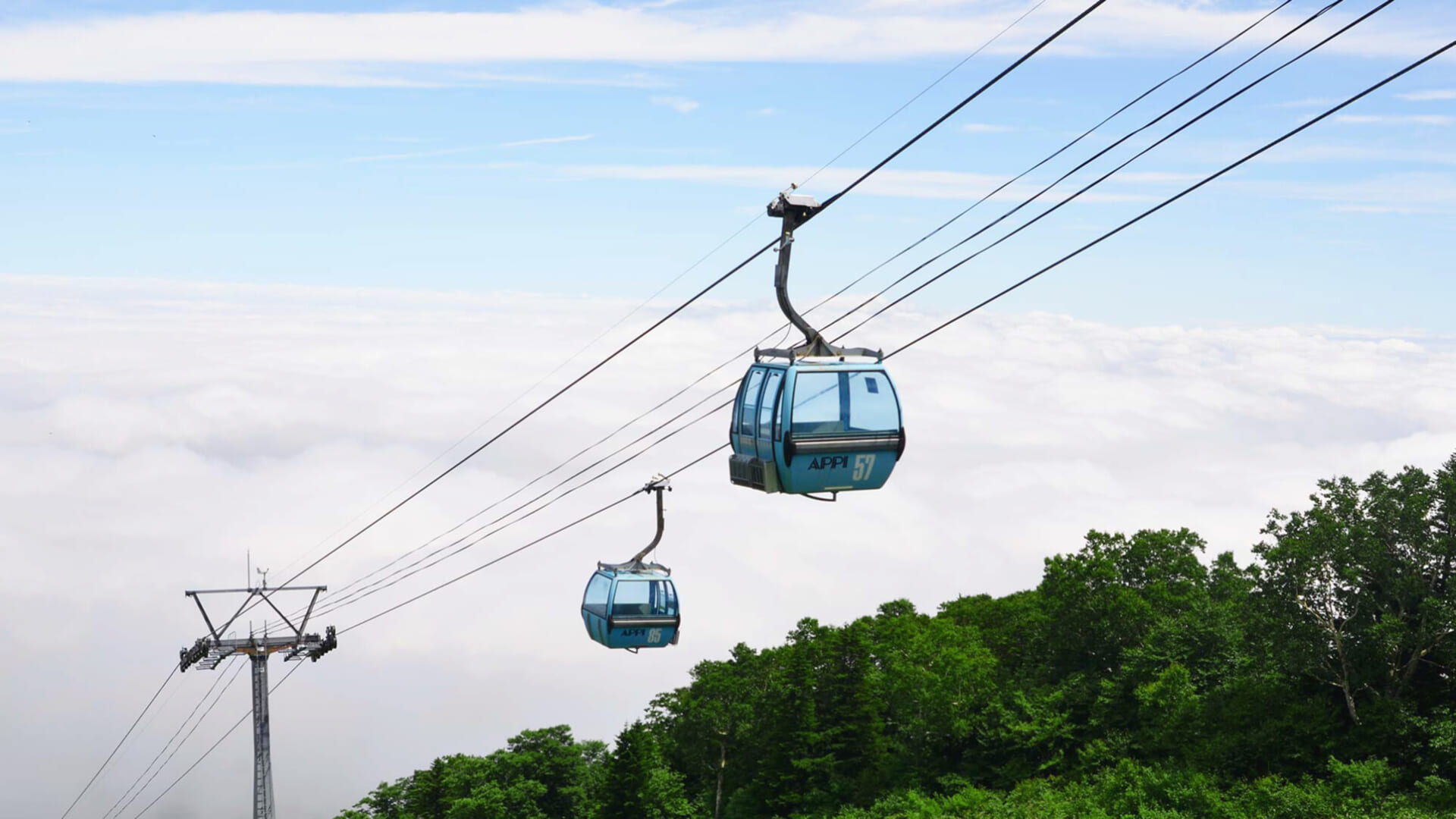 APPI RESORT PASS