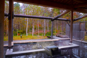 安比温泉「白樺の湯」設備点検のお知らせ - 安比高原