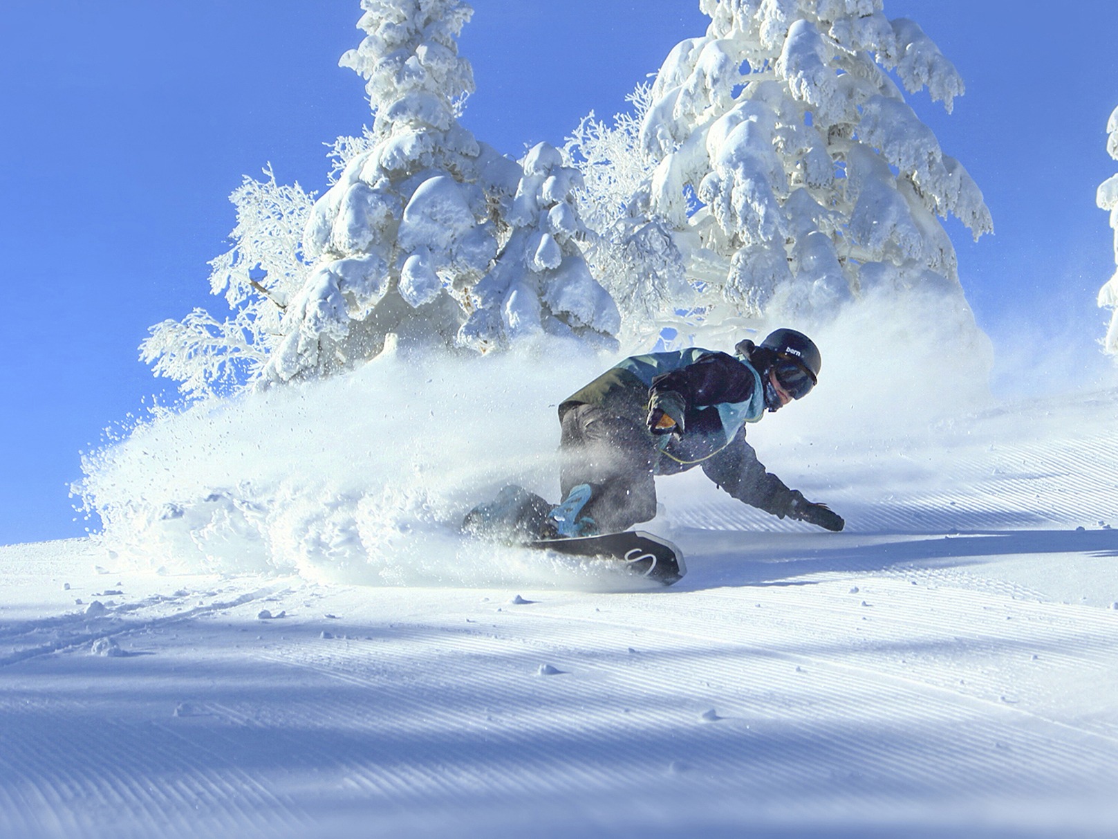 航空券・新幹線プラン - 安比高原