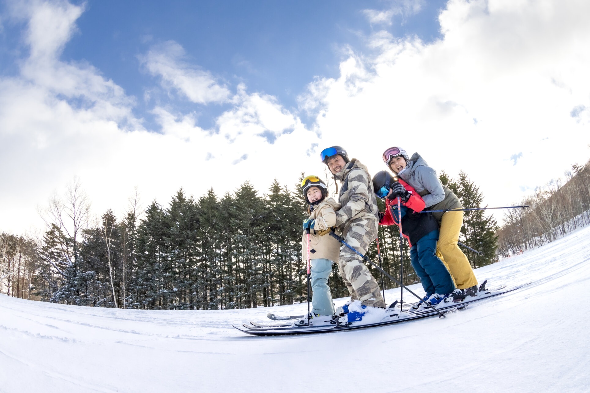 ファミリー向けプラン