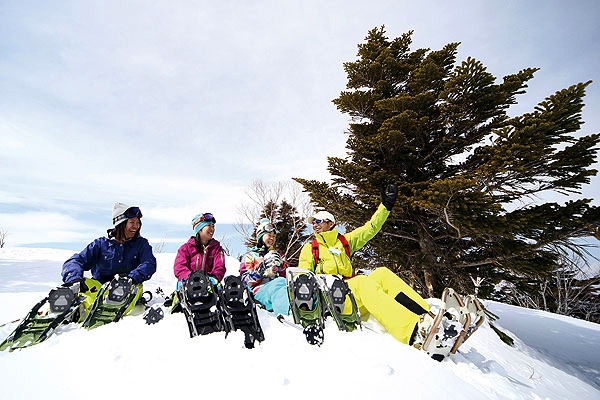 安比高原 - Private Snowshoe Guides