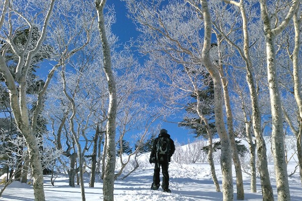 安比高原 - Private Snowshoe Guides