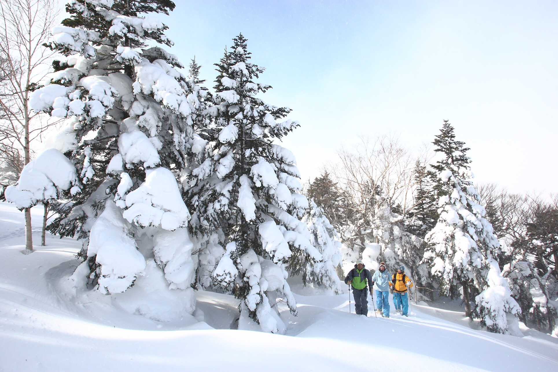 プライベートスノーシューガイド