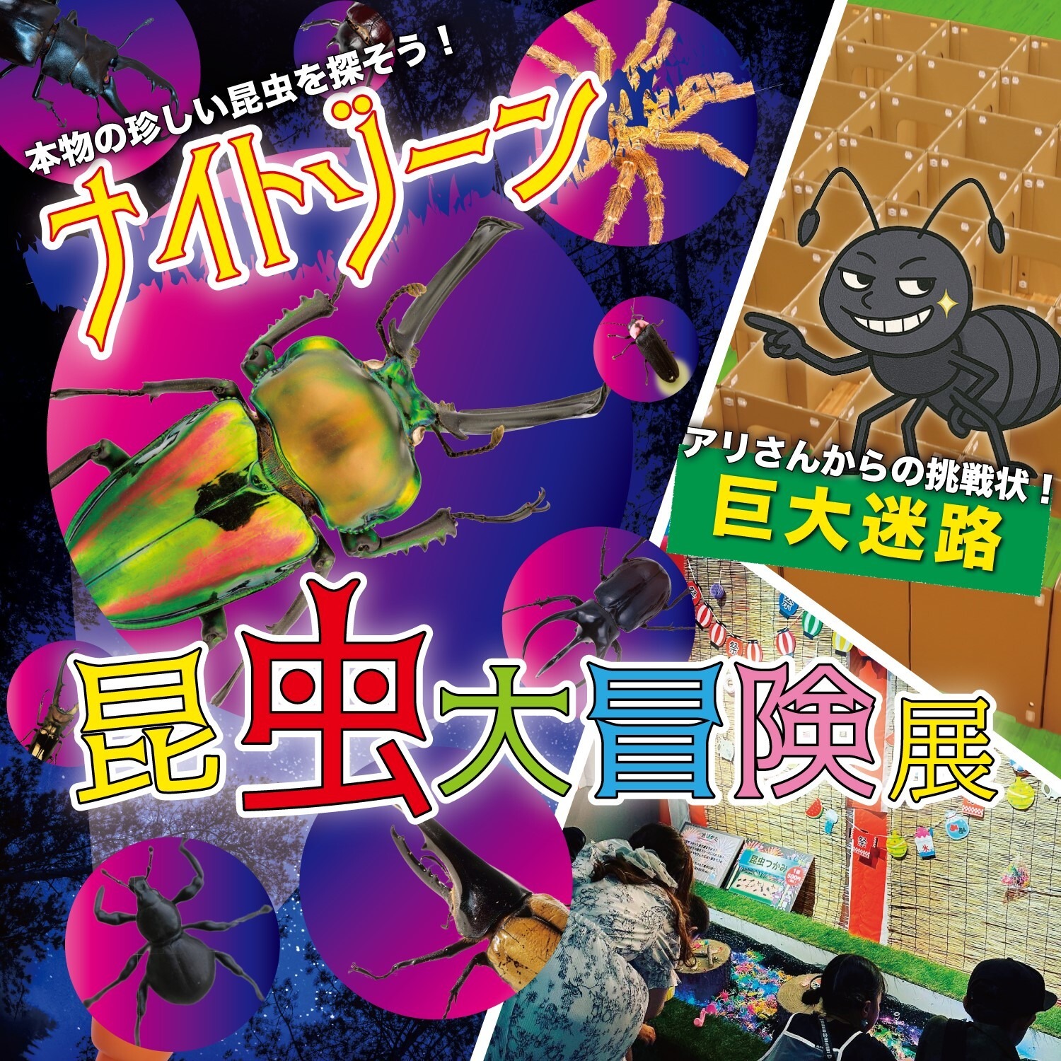 昆虫大冒険展