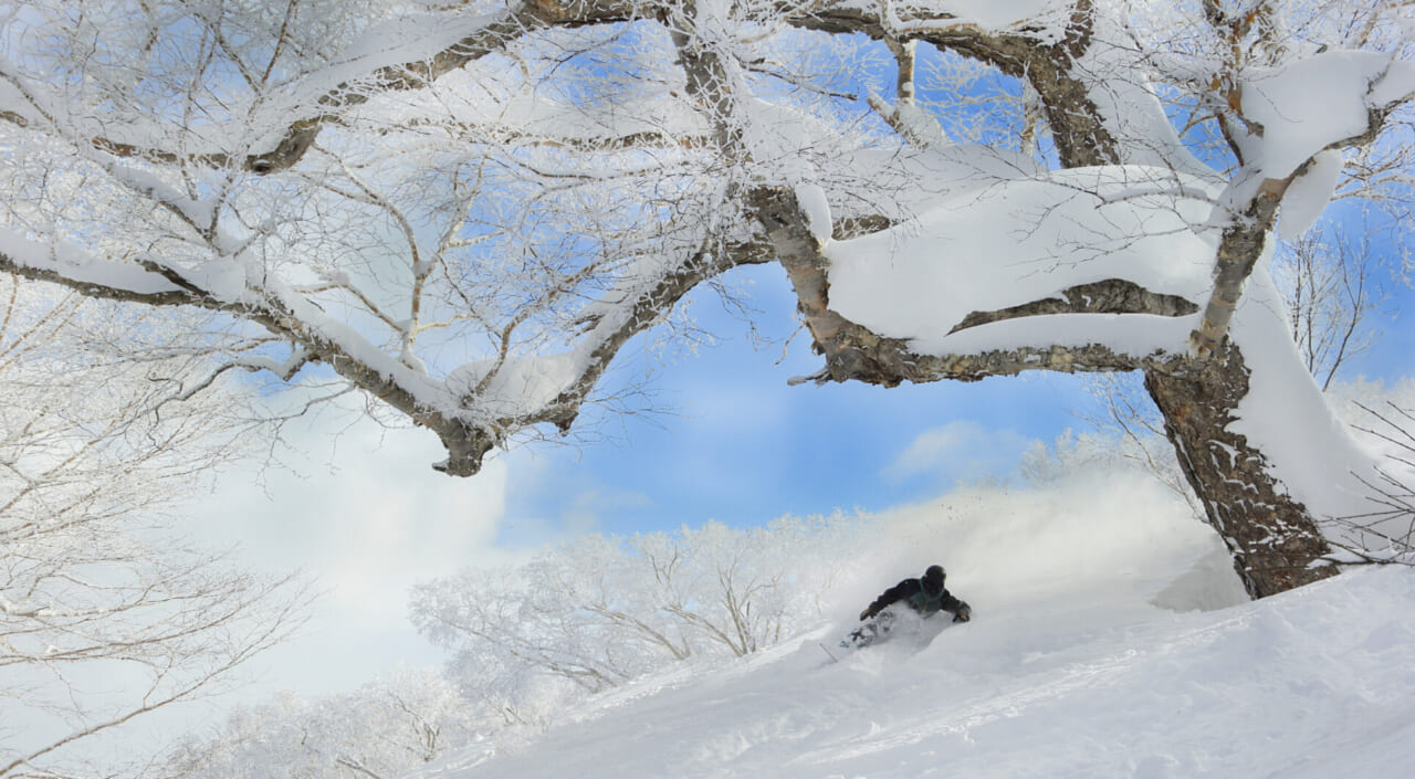 2025-26Winter 安比高原スキー場がアイコンパス（Ikon Pass）に加盟！ - 安比高原