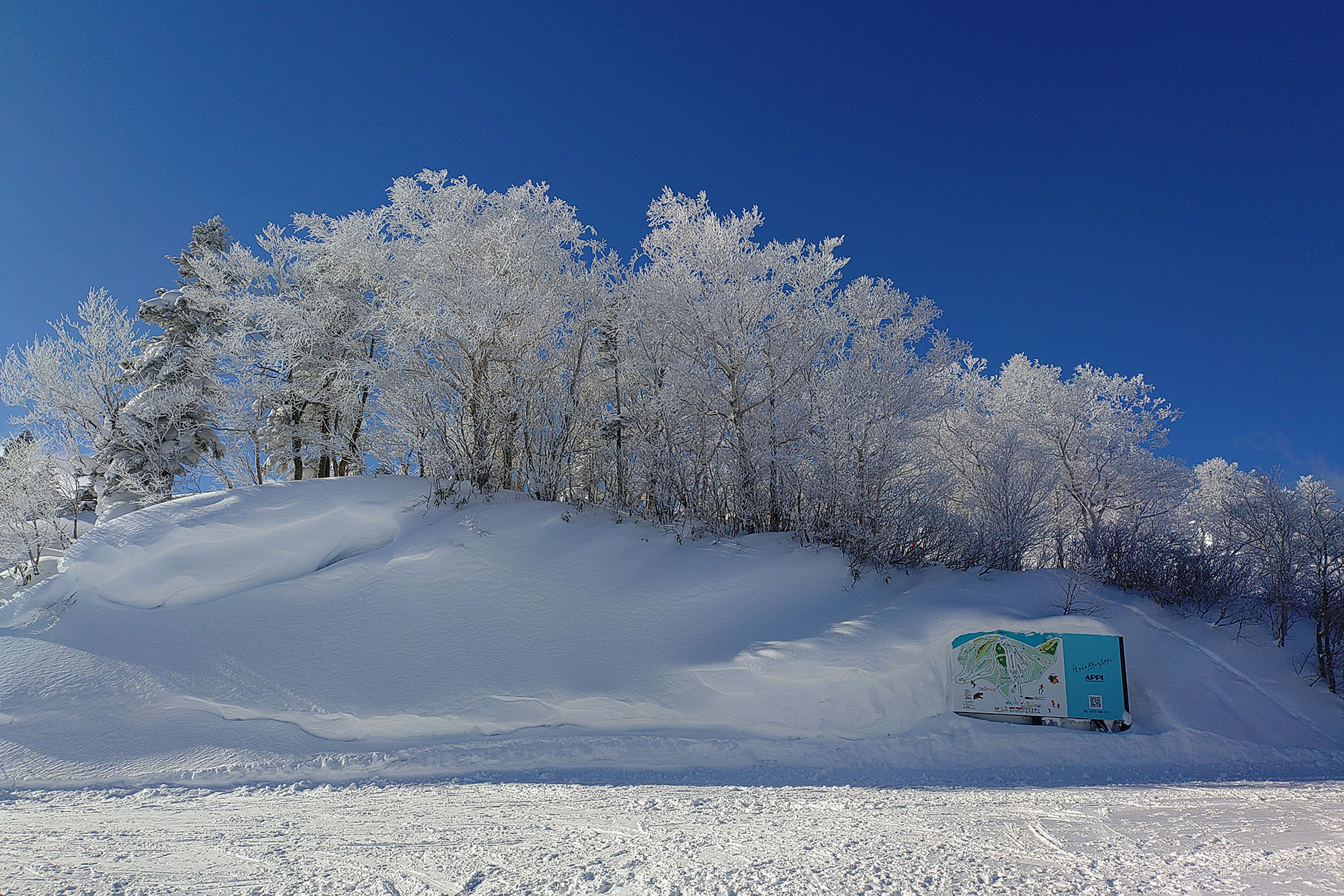 安比高原 - ガイドと行くゴンドラ山頂スノーシュー探索