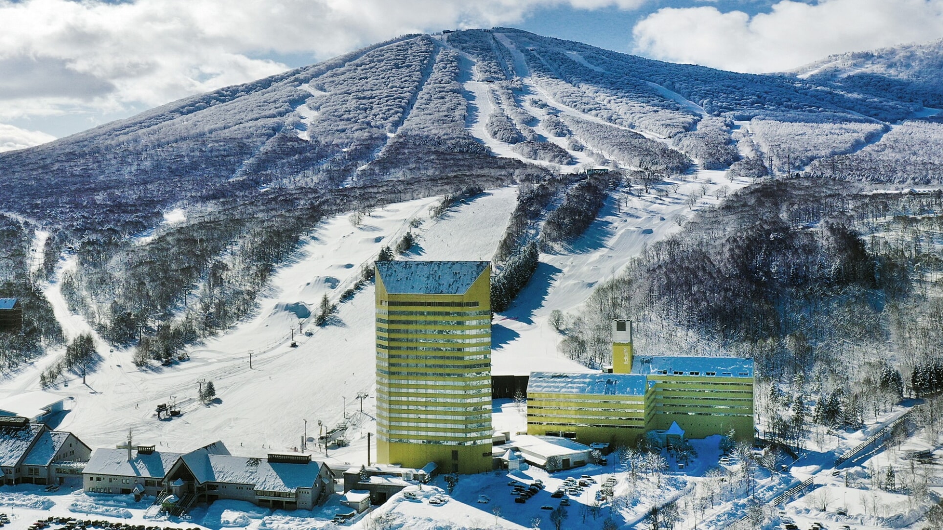 サイバー限定セール開催中！<br>（2025年11月20日～12月4日まで）