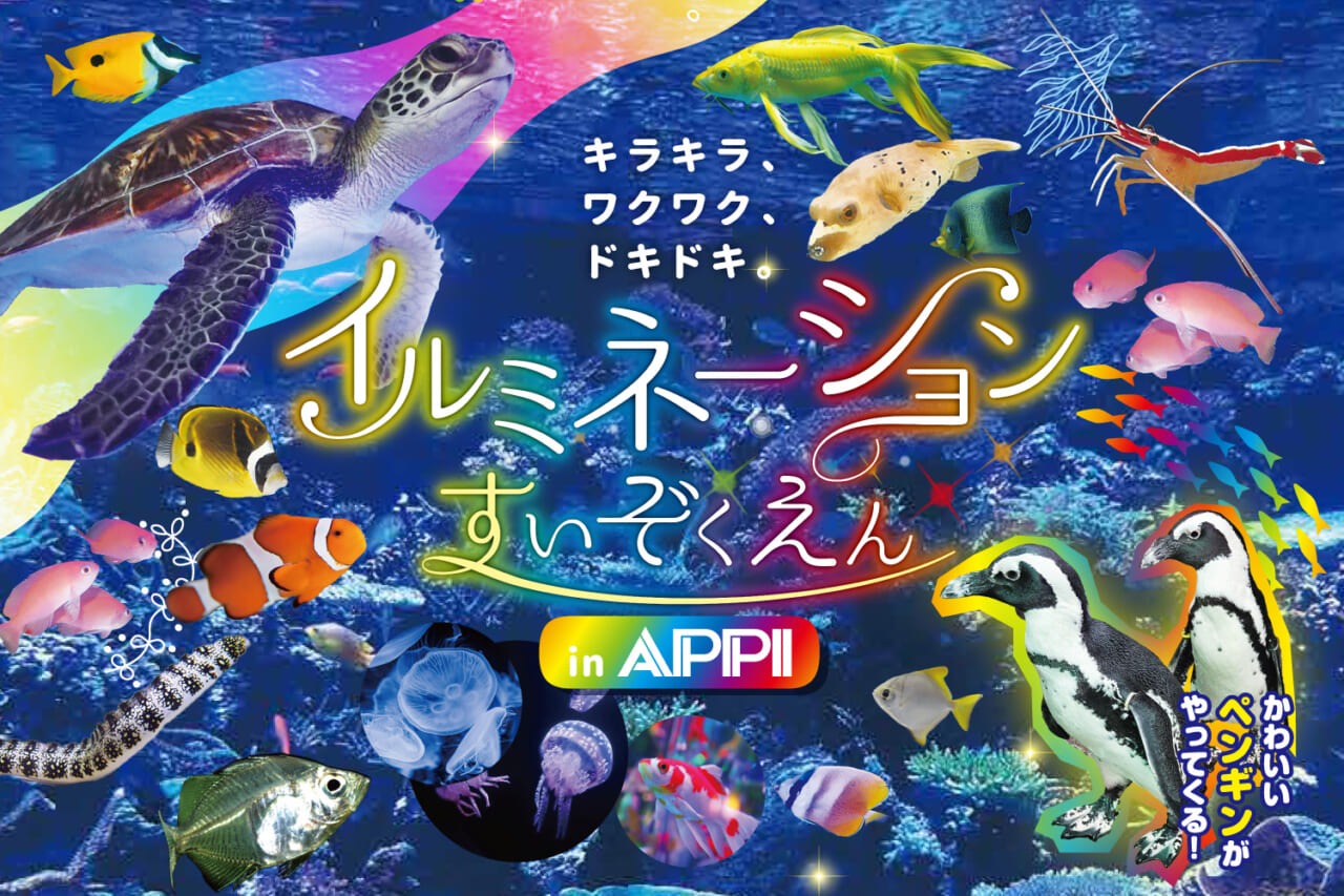 イルミネーションすいぞくえん in APPI <br>この夏開催！入場券付き宿泊プランご予約受付中！ - 安比高原