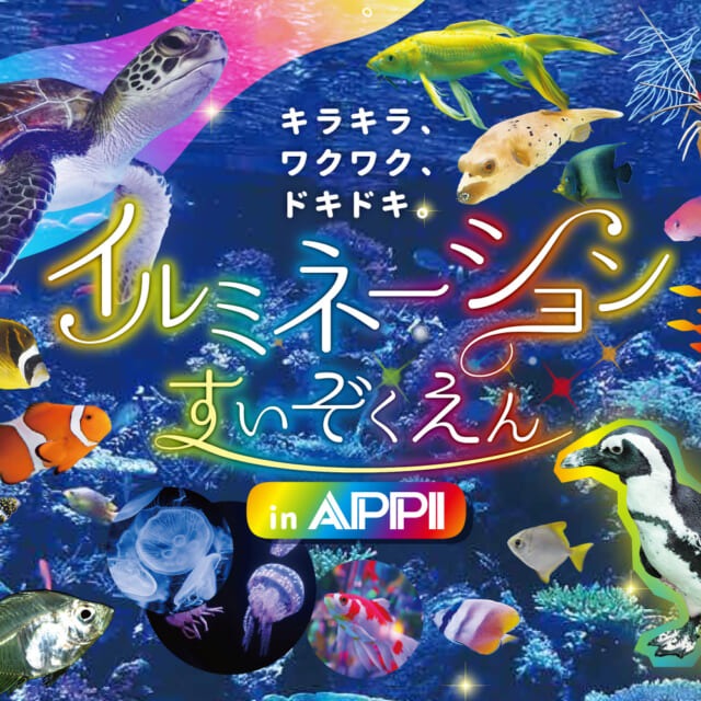 イルミネーションすいぞくえん in APPI <br>この夏開催！入場券付き宿泊プランご予約受付中！