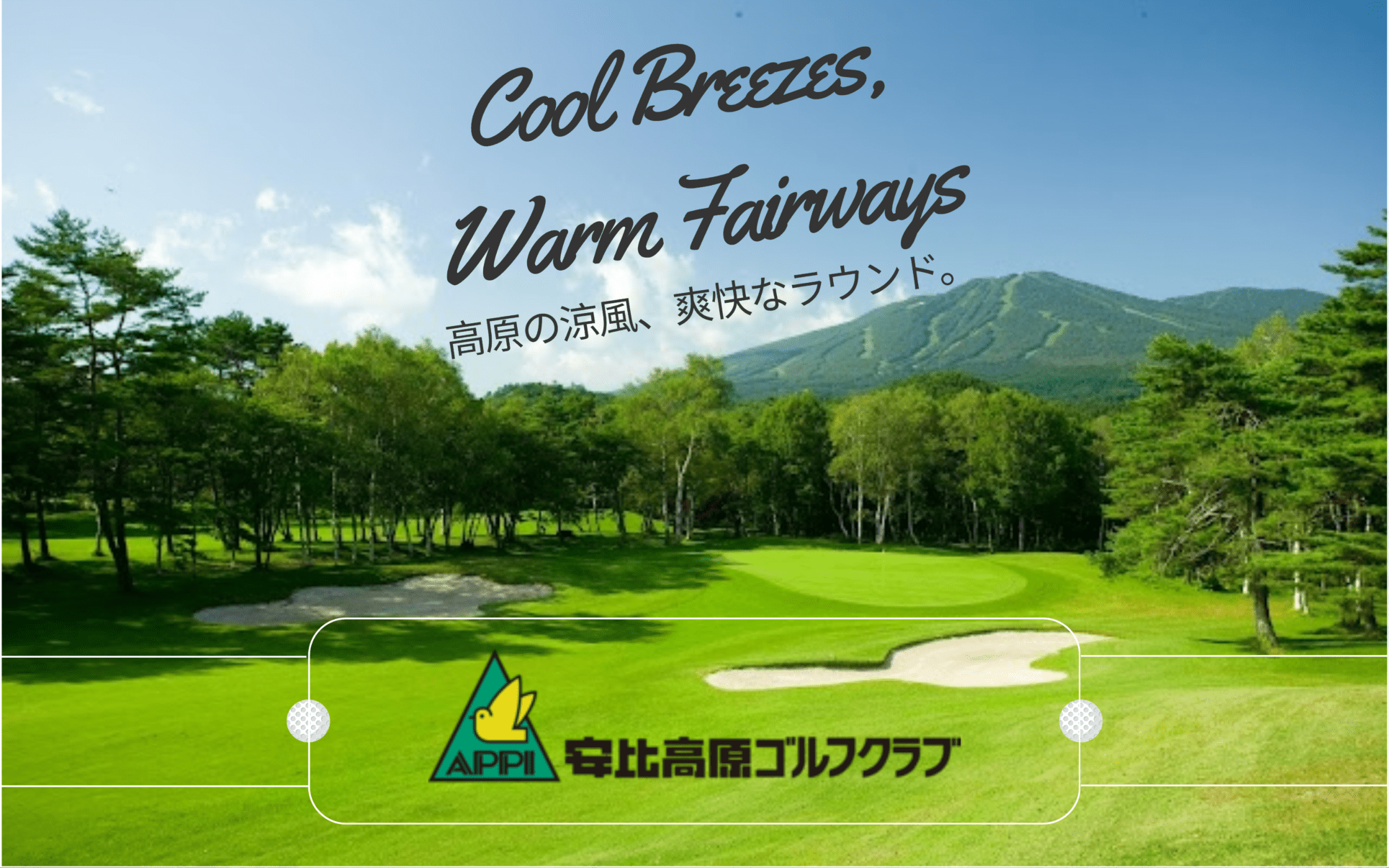 优惠活动